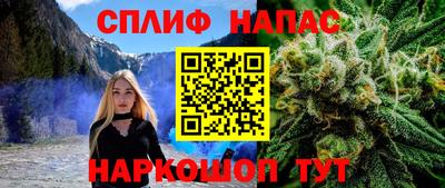 не бодяженный Тара