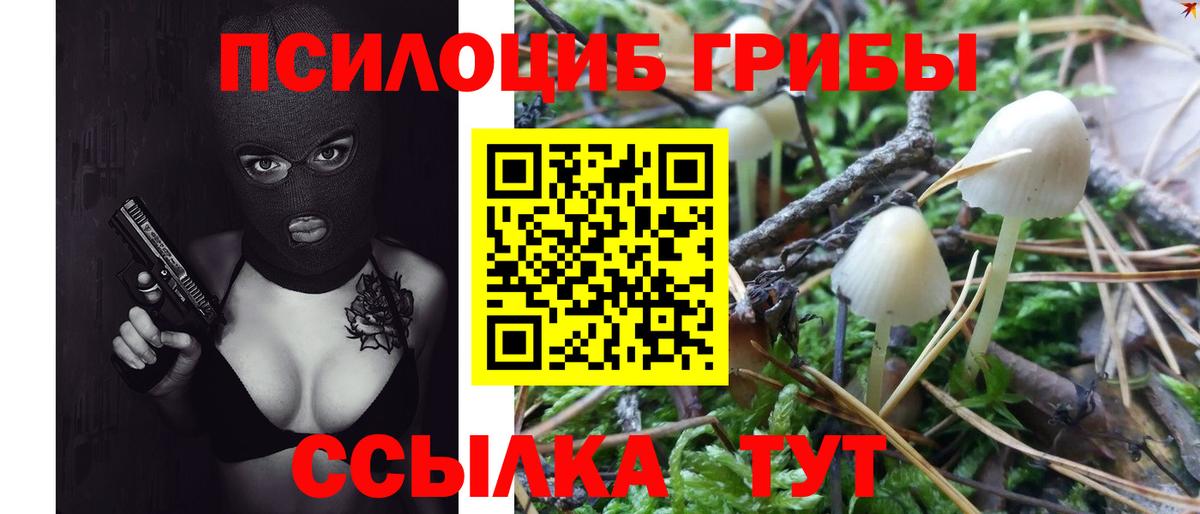 Псилоцибиновые грибы Cubensis  Галлюциногенные грибы MAGIC MUSHROOMS  Вход с VPN  Баксан 