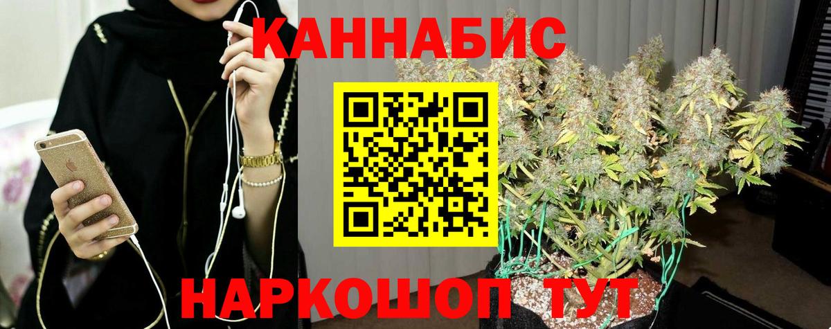 Марихуана планчик  Каннабис Bruce Banner  Баксан  Вход с VPN 