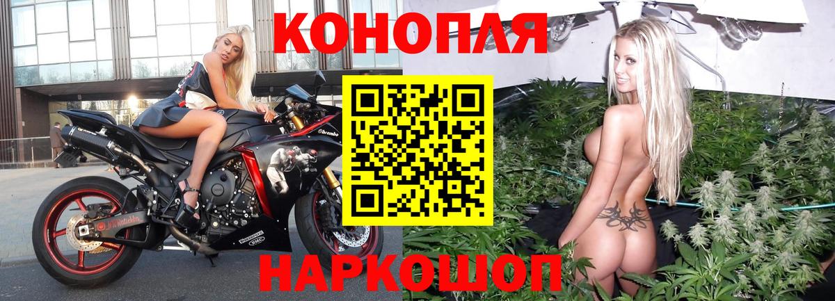 Конопля конопля Баксан